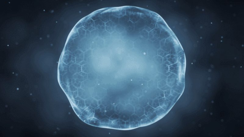 生物科技厂家品牌探秘：如何识别优质合作伙伴**