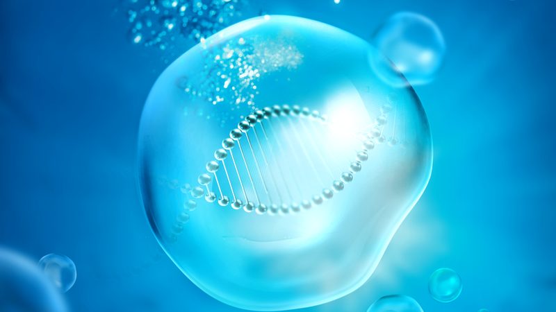 CRS优化：揭秘生物制药研发中的关键步骤