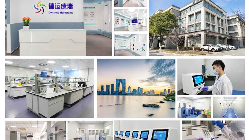 高保真聚合酶新英格兰型号：揭秘其核心优势与应用**