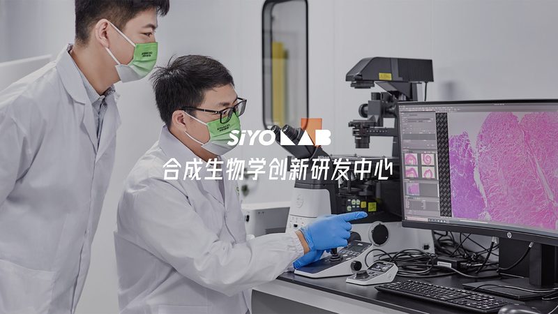 生物制品质量控制：揭秘行业标准背后的关键参数**