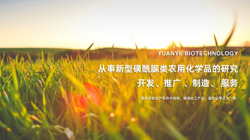 原料药CDMO价格对比：揭秘影响价格的关键因素
