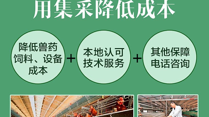 生物医药外包加盟扶持政策：助力企业腾飞的关键因素