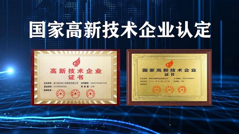 提升CRISPR/Cas9技术转化率的关键要素解析