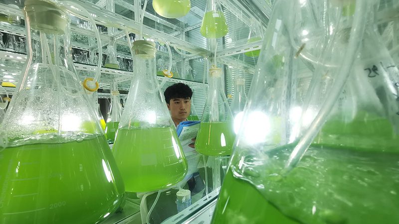 引物合成修饰：生物科技领域的关键环节